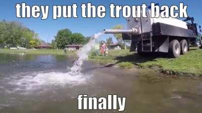 The trouts are back!!! 😊😊😊