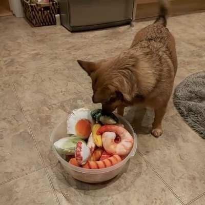 My girl Coco has an christmas advent calandar. Every other day she gets to pick out a new toy from the bowl. It's a hard choice!