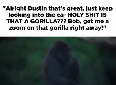 We interrupt this Simon and Garfunkel sing-along to bring you Breaking News of a reported Random Gorilla Event at the San Francisco Zoo