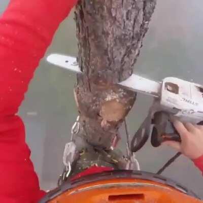 This Lumberjack Working High Up In The Mist