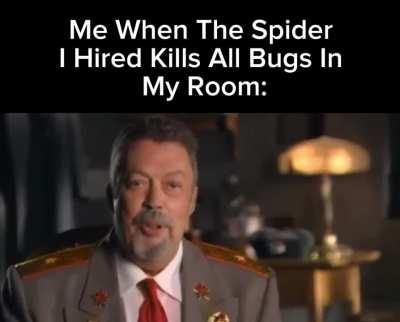 I hate spiders