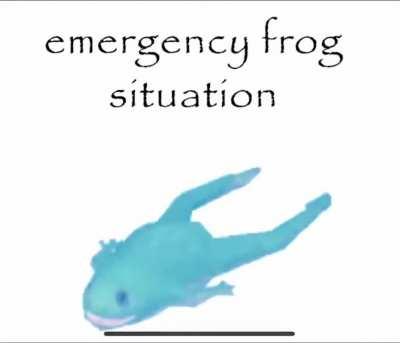 EMERGENCY FROG SITUATION 