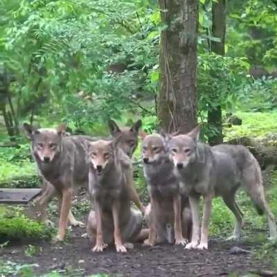 Trying to get the family together for a picture