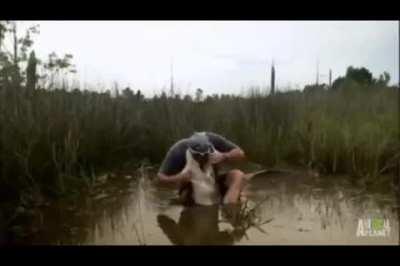 To take a badass picture with a crocodile