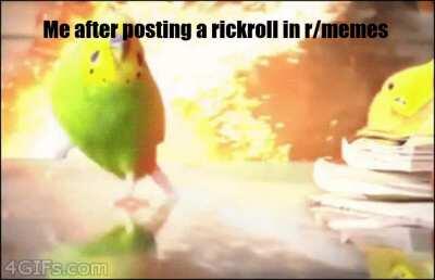 Working method to avoid rickroll! : r/memes