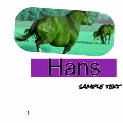 rainbow Hans