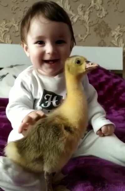 baby human and baby duckling.