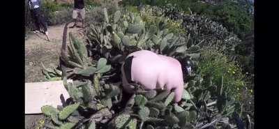 HMF as I skateboard into cacti