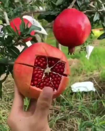 How to effectively slice a pomegranate