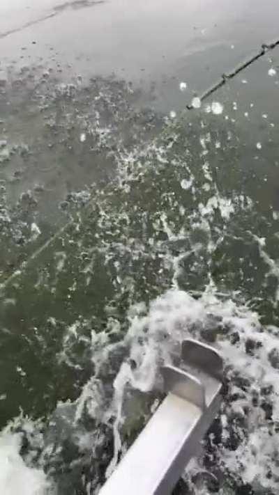 Fishing little Sturgeon on the river