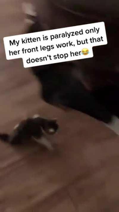 Fast as fuck even only with two legs