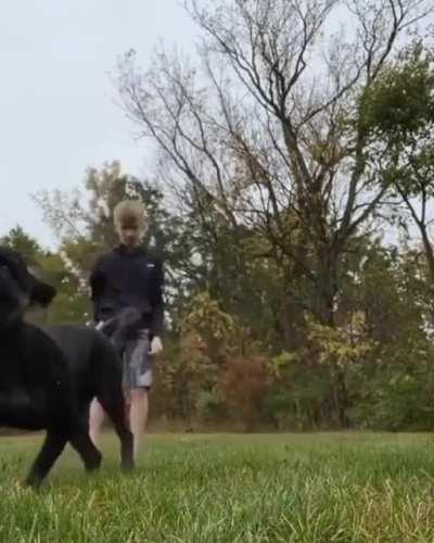 Doggo and kid timed their jump pawfectly