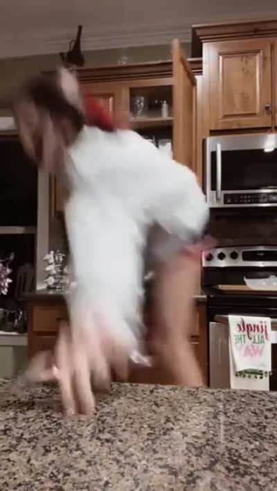 To lip sync on the kitchen counter...