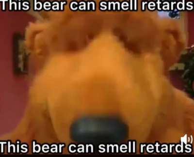 This bear can smell retards