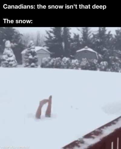 The snow