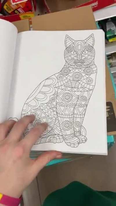 Cat Farts Coloring Book 😹💨