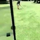 Golf with some “friends”. WCGW