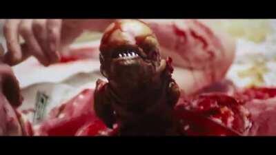 Chestburster