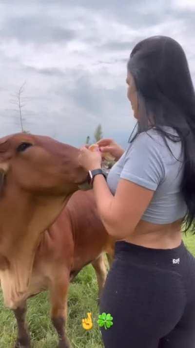 🍑🐄🤠