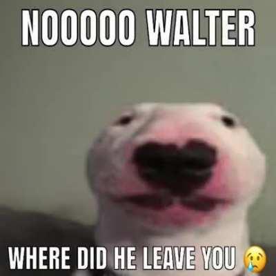 nooo walter nooooo 😢😢😢