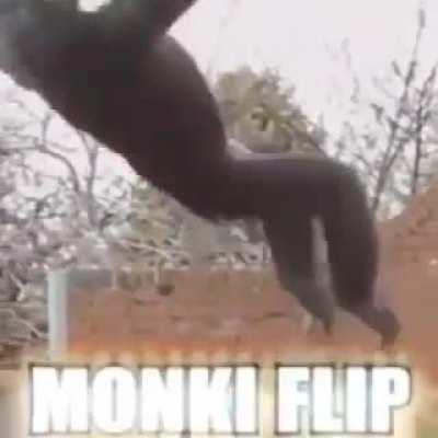 Monke flip