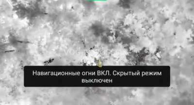 Russian drone operators clear a treeline of Ukrainian infantry in the Zaporozhye region