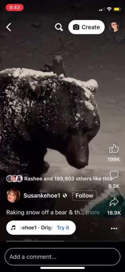 White lady literally “scratches” snow off of a whole bear and tells it to “sit” and it listened!!!