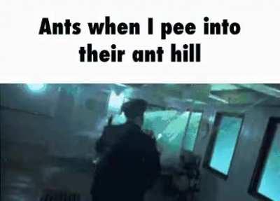 🐜