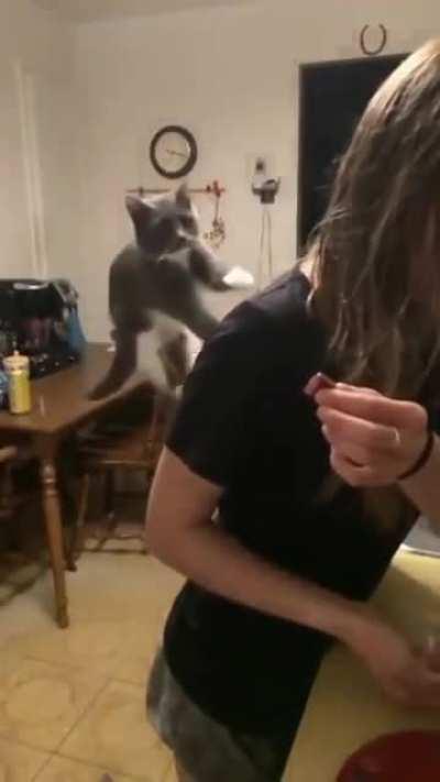 A cat with skills.