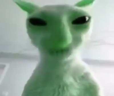 Alien Wunk Footage (real)