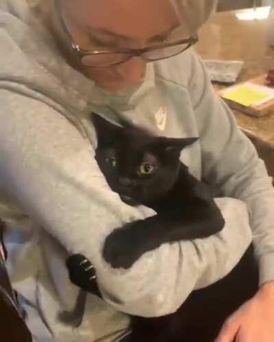 Cat Needs A Hug