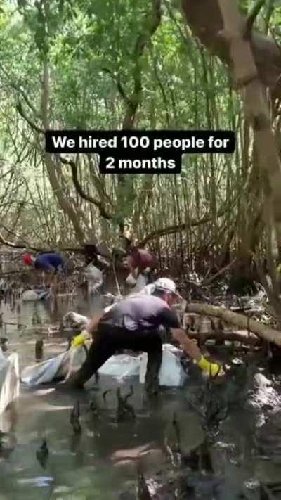 Cleaning up the mangroves of bali [@garybencheghib]