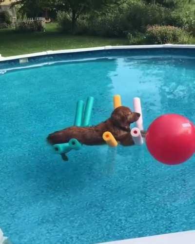 A normal day at the pool... RELAX