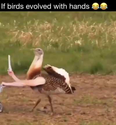 Thanks I hate birds with hands