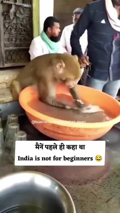 india is not for beginners,😎