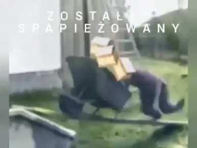 Zostałeś spapieżowany