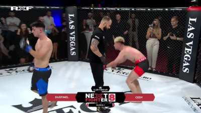 MMA ref standing on business