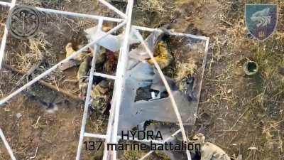 Ukrainian drone drops grenades on Russian infantry