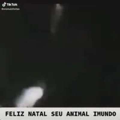 🔥 Feliz Natal seus Animais Imundos! : brasil || [dd] redd...