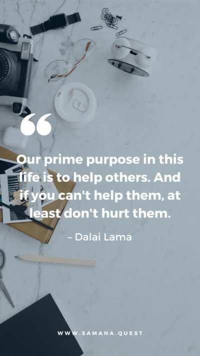 [image] Our prime purpose in this life is to help others. And if you can't help them, at least don't hurt them. - Dalai Lama
