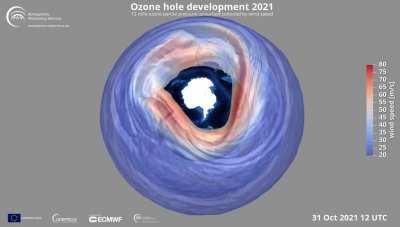 Development of the Ozone Hole in the last year