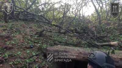 Attack on Russian positions and capture of a prisoner near Terny, Donetsk Oblast. 2nd Assault Infantry Battalion of the 3rd Assault Brigade. May 2024