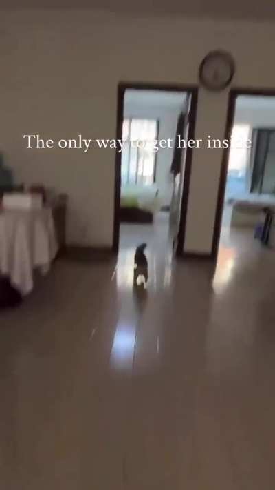 perfectlycutyeets