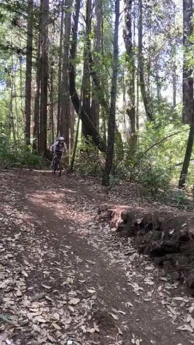 Lovely day for a bike ride