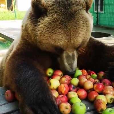 Bears also want to keep the doctor away