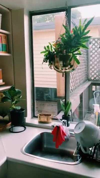 Little upgrades and lots of plants are the key to a cozy space. Rental in Vancouver,BC.