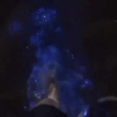 🔥 Walking in water through Bioluminescent plankton