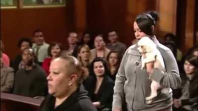 Judge Judy let’s dog find it’s REAL owner…