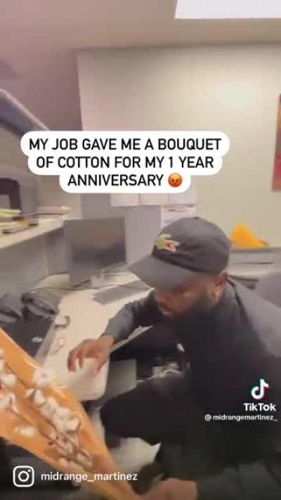 Job gave him cotton.