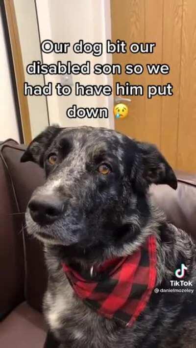 What a poor dog :(